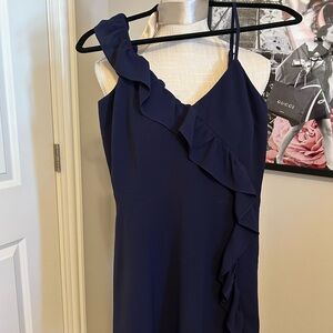 BB Dakota Navy Dress NWOT